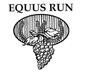 EQUUS RUN