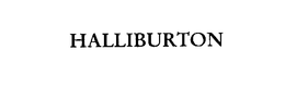 HALLIBURTON ENERGY SERVICES, INC. logo