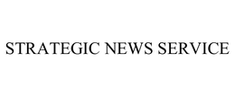 STRATEGIC NEWS SERVICE L.L.C.