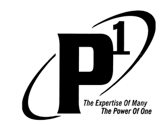 P1 THE EXPERTISE OF MANY THE POWER OF ONE