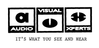 AUDIO VISUAL XPERTS IT'S WHAT YOU SEE AND HEAR