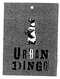 URBAN DINGO