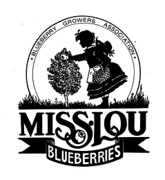 BLUEBERRY GROWERS ASSOCIATION MISS LOU BLUEBERRIES