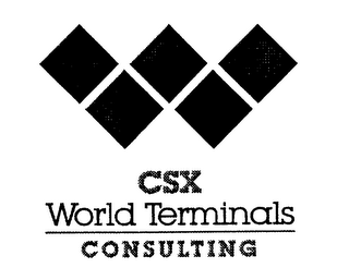 W CSX WORLD TERMINALS CONSULTING