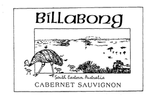 BILLABONG SOUTH EASTERN AUSTRALIA CABERNET SAUVIGNON