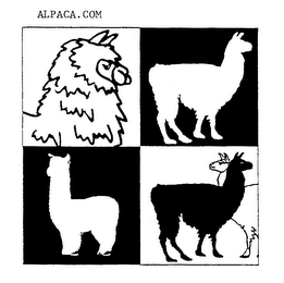 ALPACA.COM