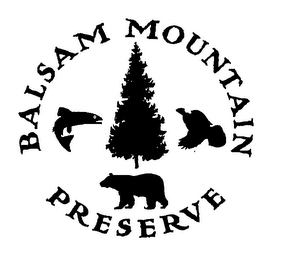 BALSAM MOUNTAIN PRESERVE