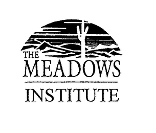 THE MEADOWS INSTITUTE