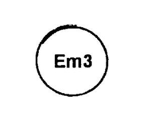 EM3