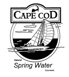 CAPE COD NATURAL SPRING WATER OZONATED