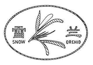 SNOW ORCHID