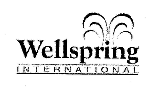 WELLSPRING INTERNATIONAL