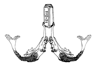 FOR THE SPICE OF YOUR LIFE