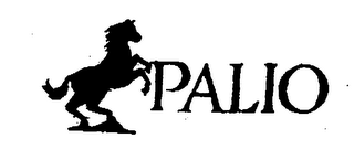 PALIO