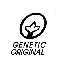 GENETIC ORIGINAL