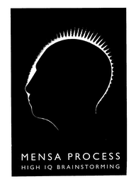 MENSA PROCESS HIGH IQ BRAINSTORMING