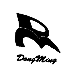 DM DONGMING