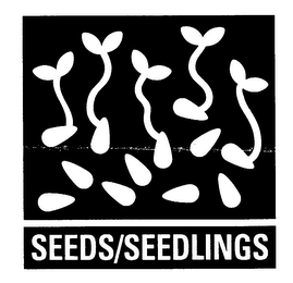 SEEDS/SEEDLINGS