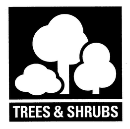 TREES & SHRUBS