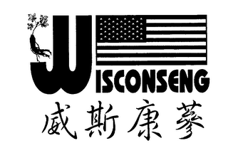 WISCONSENG