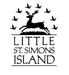 LITTLE ST. SIMONS ISLAND