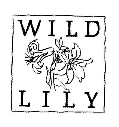 WILD LILY