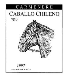 CARMENERE CABALLO CHILENO VINO 1997 REGION DEL MAULE