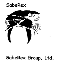 SABEREX SABEREX GROUP, LTD.