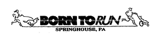 BORN TO RUN SPRINGHOUSE, PA