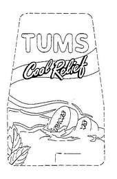 TUMS COOL RELIEF