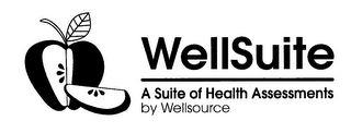 WELLSUITE A SUITE OF HEALTH ASSESSMENTSBY WELLSOURCE