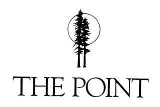 THE POINT