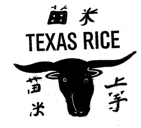 TEXAS RICE