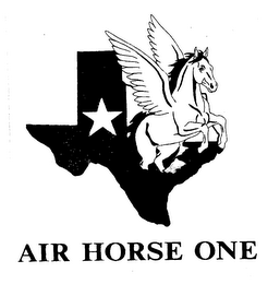 AIR HORSE ONE