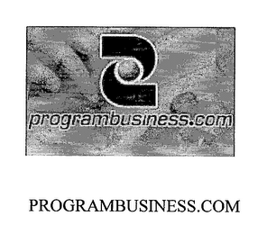 PROGRAMBUSINESS.COM