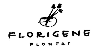 FLORIGENE FLOWERS