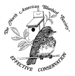 THE NORTH AMERICAN BLUEBIRD SOCIETY EFFECTIVE CONSERVATION