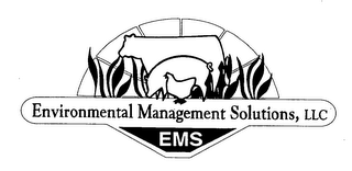 ENVIRONMENTAL MANAGEMENT SOLUTIONS, LLC EMS