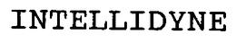 IntelliDyne, LLC