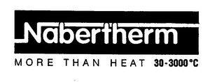 NABERTHERM MORE THAN HEAT 30-3000 C