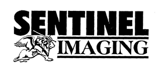 SENTINEL IMAGING