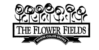 THE FLOWER FIELDS WHERE COLOR GROWS