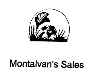 MONTALVAN'S SALES