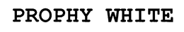 PROPHY WHITE