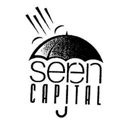 SEREIN CAPITAL