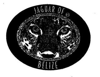 JAGUAR OF BELIZE