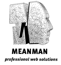 MEANMAN.COM PROFESSIONAL WEB SOLUTIONS