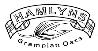 HAMLYNS GRAMPIAN OATS