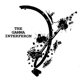 THE GAMMA INTERFERON