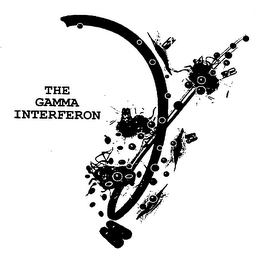 THE GAMMA INTERFERON